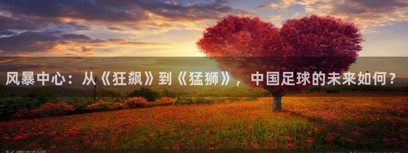 so米直播吧：风暴中心：从《狂飙》到《猛狮》，中国足球的未来如何？