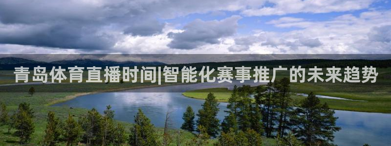 雨燕体育直播吧免费观看：青岛体育直播时间|智能化赛事推广的未来趋势