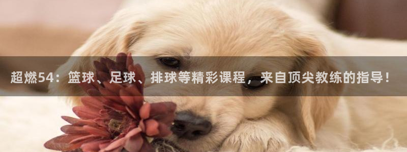 jrs体育直播吧