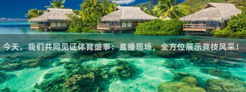 免费nba直播吧：今天，我们共同见证体育盛事：直播现场，全方位展示竞技风采！