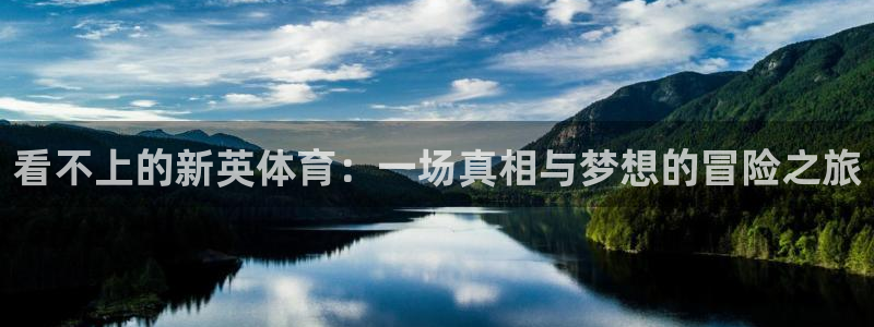 24看球网直播吧：看不上的新英体育：一场真相与梦想的冒险之旅